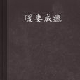 暖妻成癮(瀟湘書院小說)