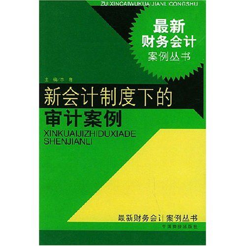 新會計制度下的審計案例