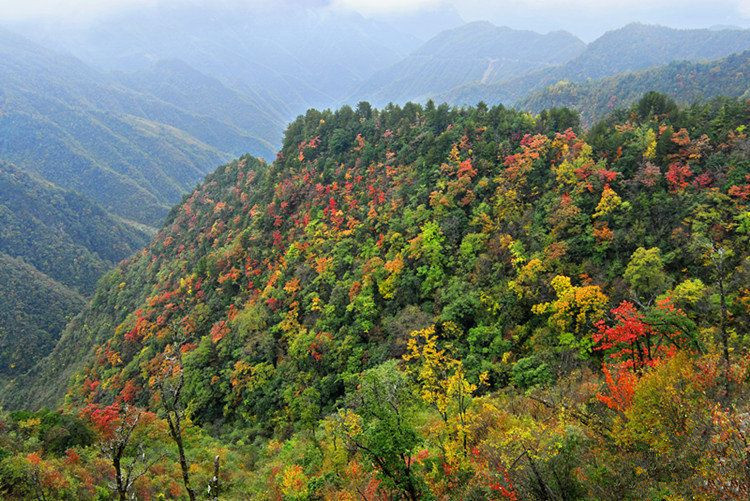 大巴山脈(大巴山主峰)