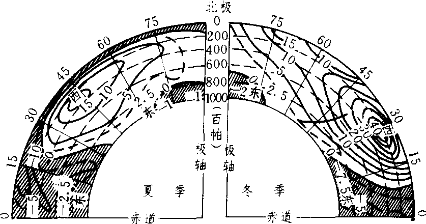 緯向環流