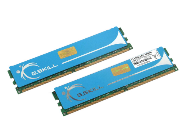 芝奇4GB DDR2 1066(F2-8500CL5D-4GBPK)