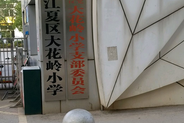 武漢市江夏區大花嶺國小