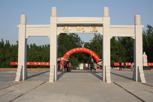 夏津黃河故道森林公園風景區