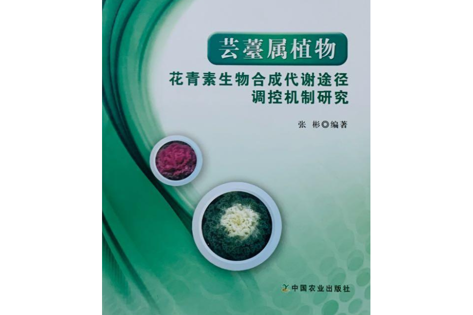 芸薹屬植物花青素生物合成代謝途徑調控機制研究