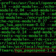 ngx_pagespeed