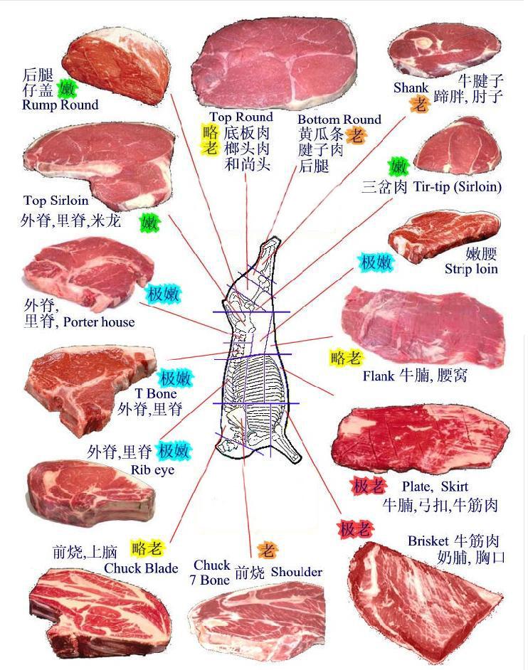 蒙醫肉類療法