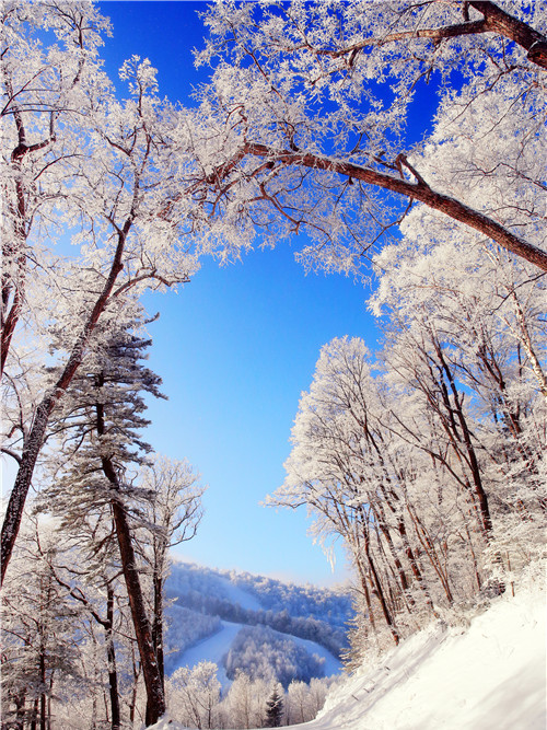 萬達長白山國際滑雪場