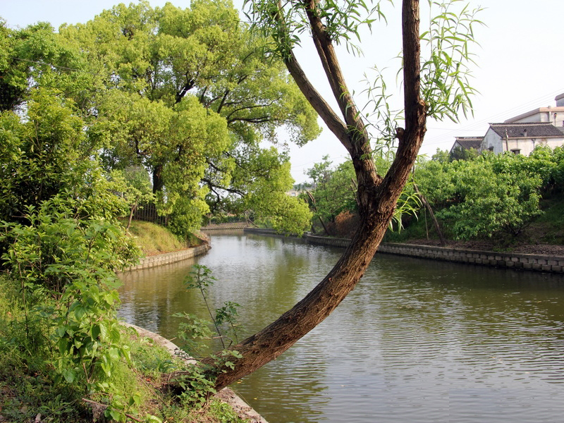 白馬塘村(浙江省嘉興市桐鄉市石門鎮白馬塘村)