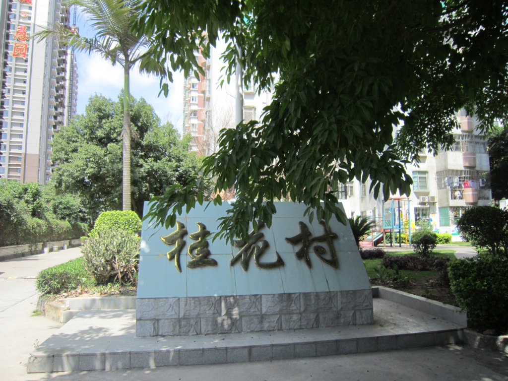 桂花村(安徽省六安市金安區木廠鎮桂花村)