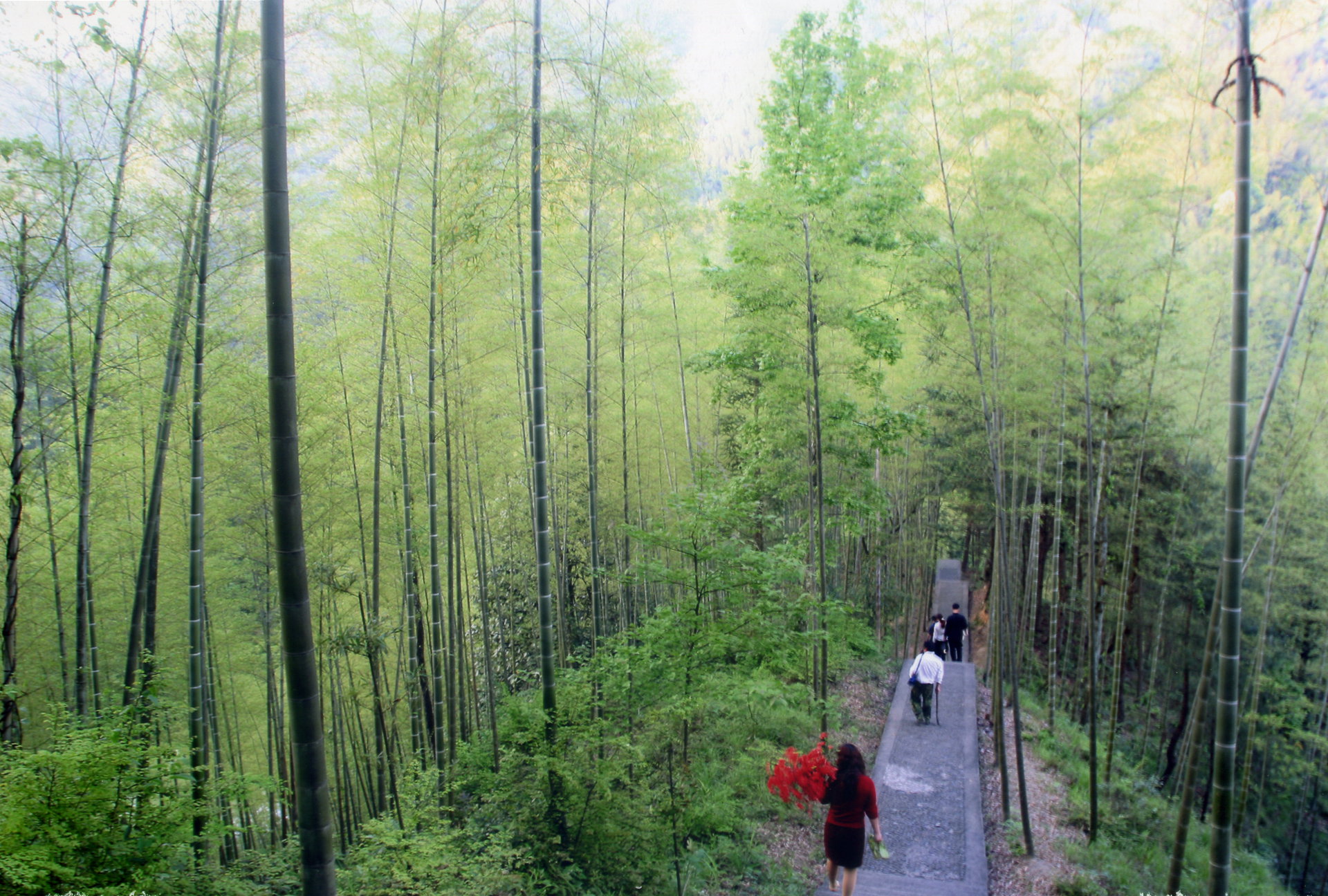 湖南東安舜皇山國家級自然保護區