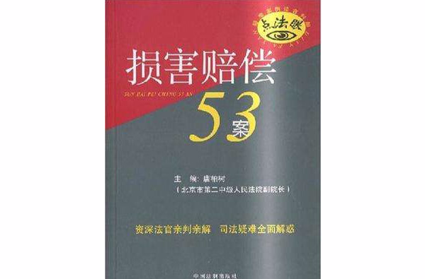 損害賠償53案