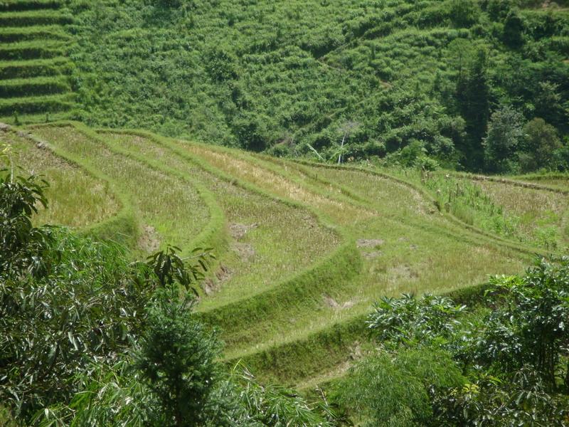 習比東村