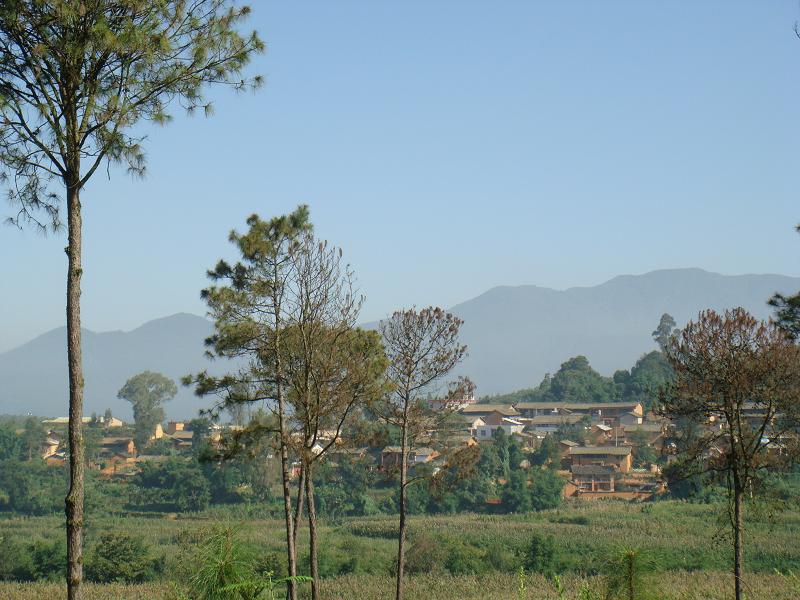 龍鳳箐村