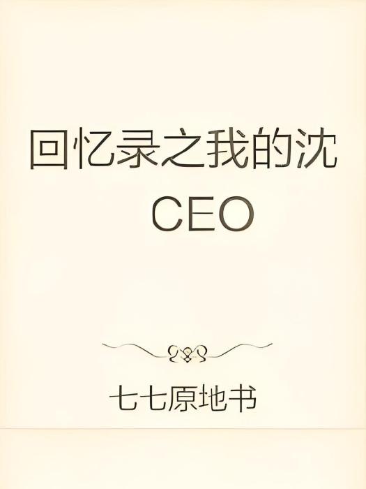 回憶錄之我的沈CEO