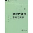 智慧財產權法案例與圖表(智慧財產權法：案例與圖表)