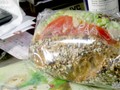 鮪魚穀物三明治