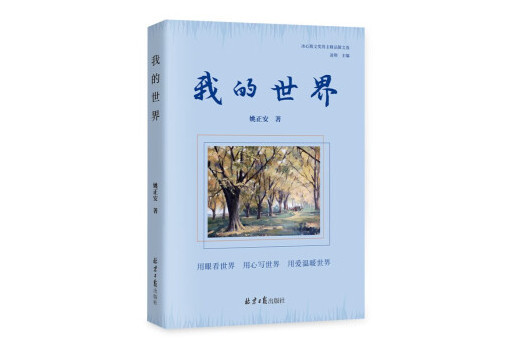 我的世界(2023年北京日報出版社出版的圖書)