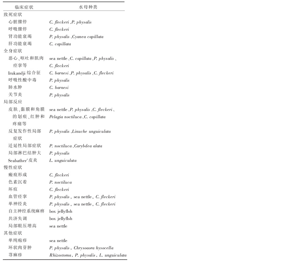 水母蜇傷的臨床表現