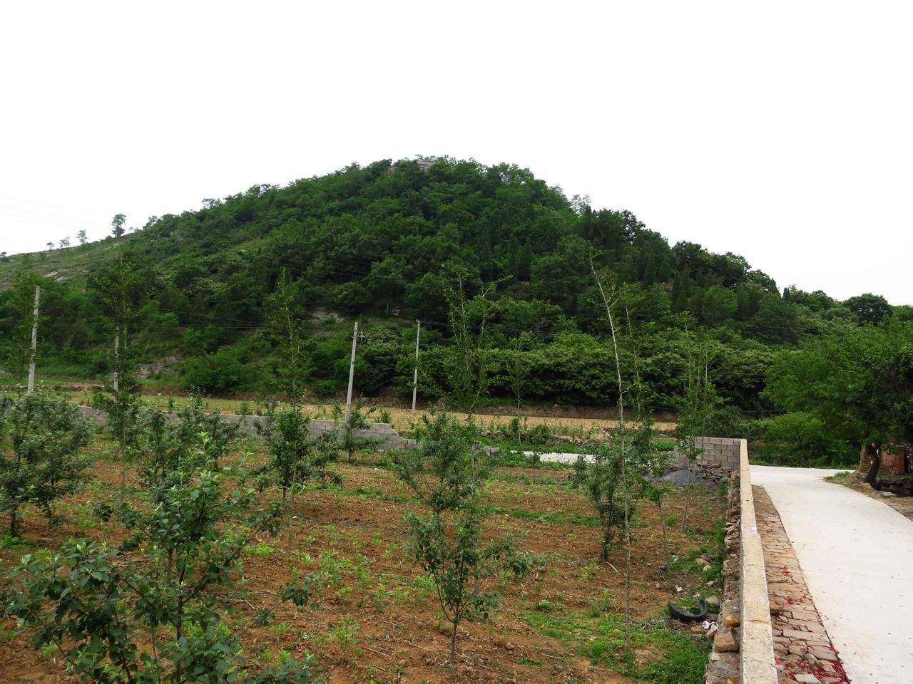 村前的金牛山（南寨）