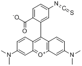 四甲基羅丹明-6-異硫氰酸酯