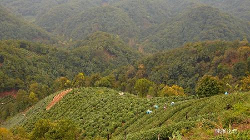 翁家山村