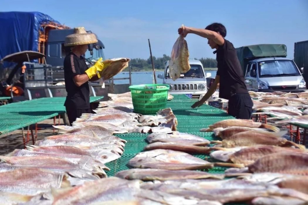 第三漁港魚市場