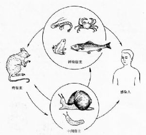 相關圖片