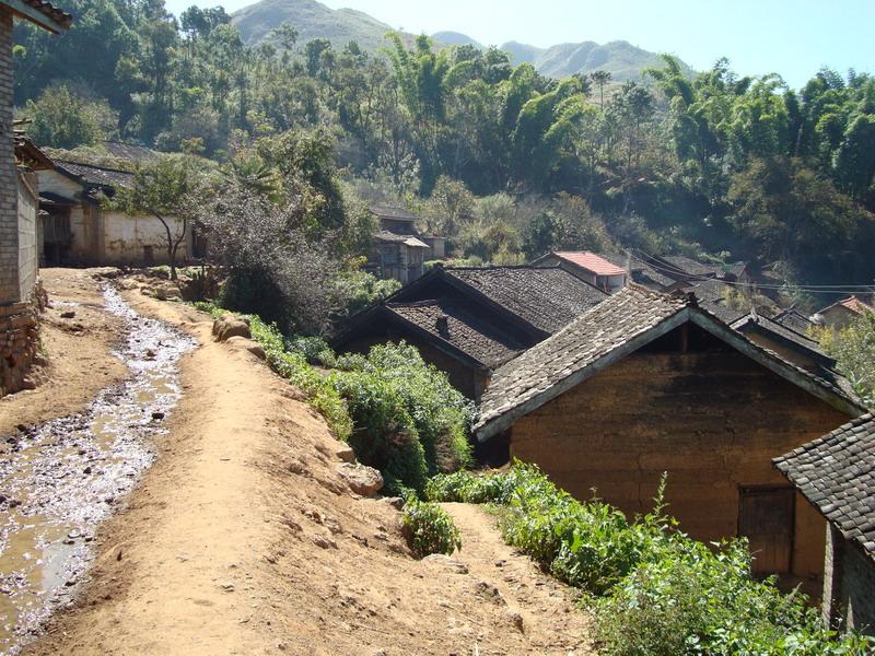 大樹林地自然村