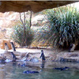 北京遊樂園幻像水族館