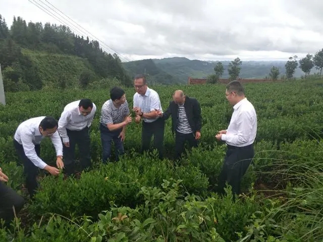 北方十六省市茶業合作聯席會議