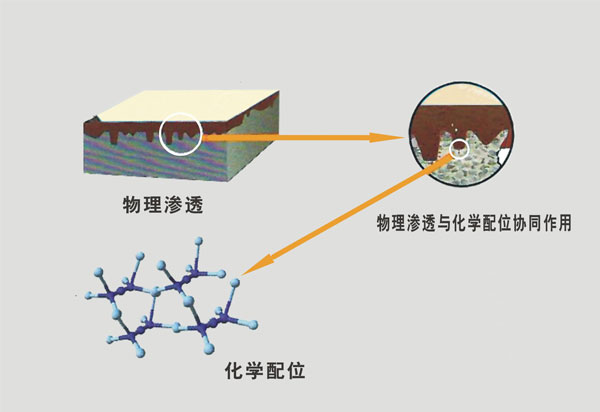 粘化過程