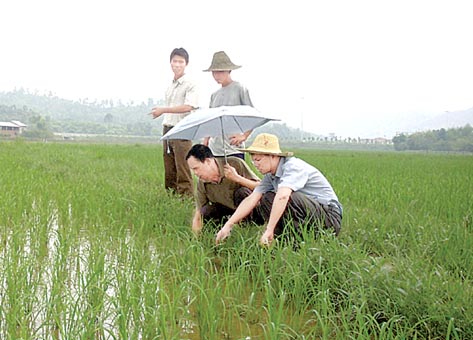 三峽新移民在惠州