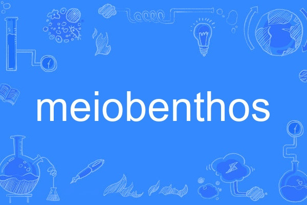 meiobenthos