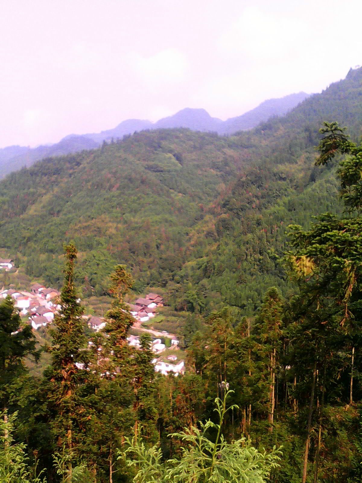 雙石鎮(四川蘆山縣雙石鎮)