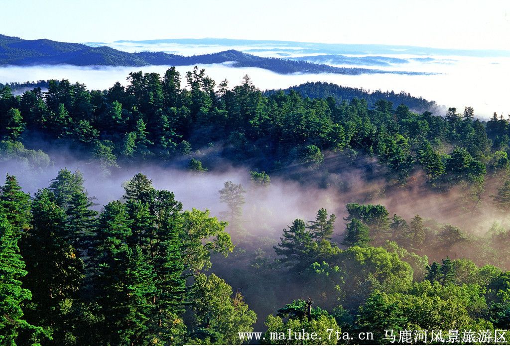 安樂屯村