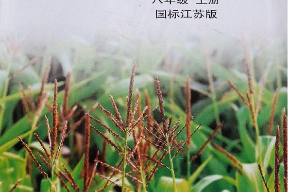 國中生物實驗報告冊