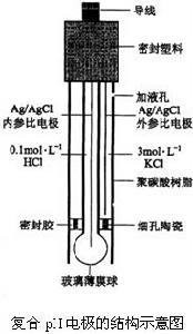 PH複合電極