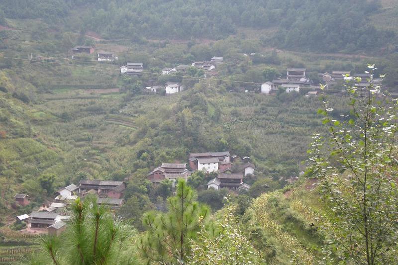 和哨村