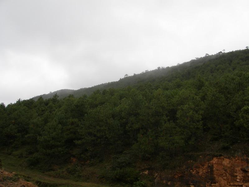 關山坪自然村