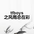 tfboys之風雨總在彩