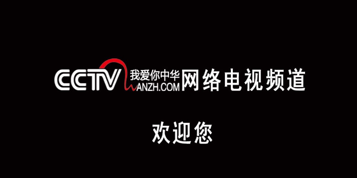 CCTV我愛你中華