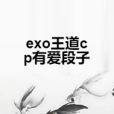 exo王道cp有愛段子