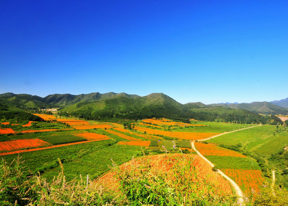 王順溝村