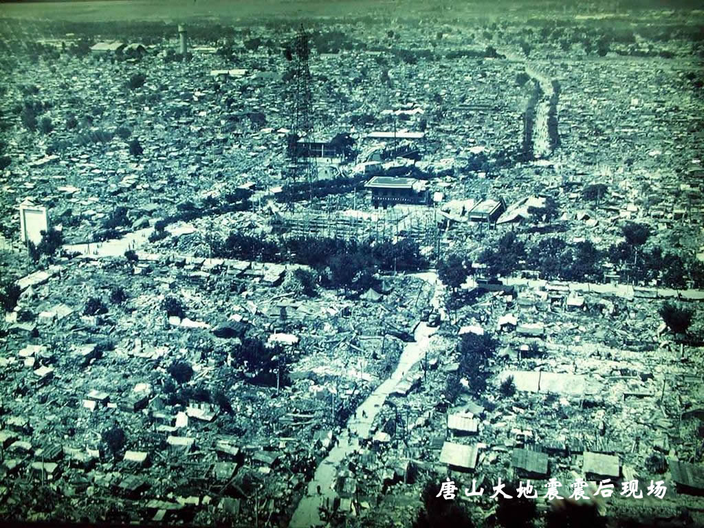 地震(自然現象)