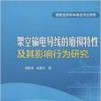 架空輸電導線的磨損特性及其影響行為研究