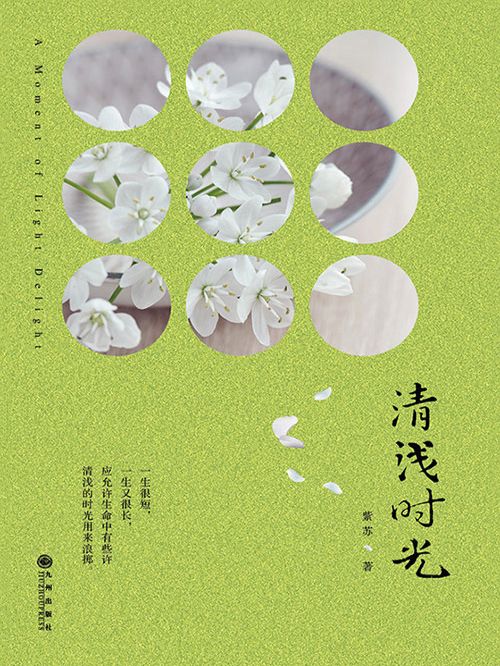 清淺時光(紫蘇所著網路小說)