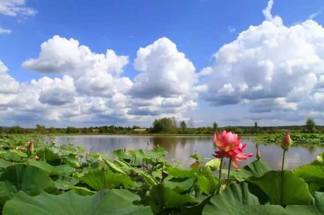 新青國家濕地公園