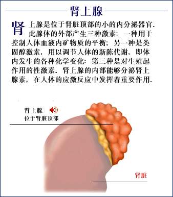 遠端型腎小管酸中毒