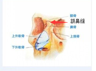 鼻根點