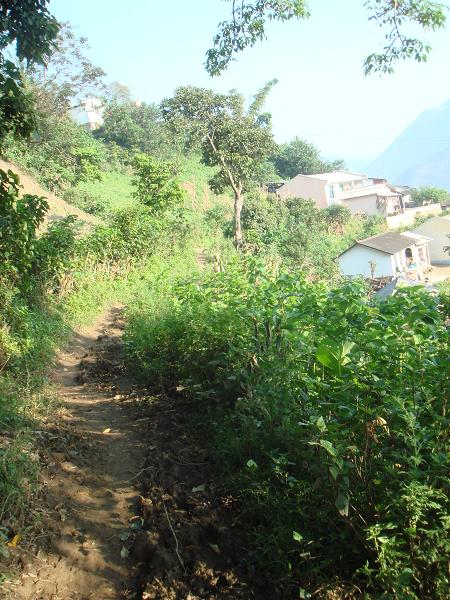 貴家墳村人口衛生－村內道路衛生